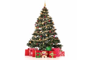 I have been good. But not great.