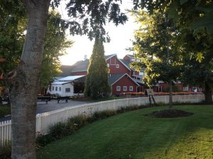 Home of apple cider donuts