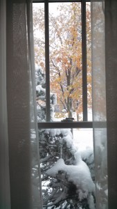 IMG_20151121_150845_025