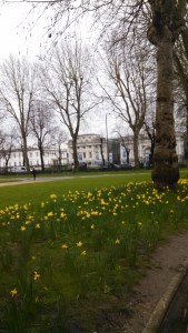 IMG_20160222_122551_392