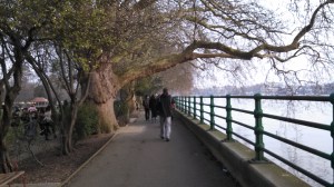 IMG_20160312_170820_382