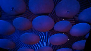 IMG_20160313_111332_437