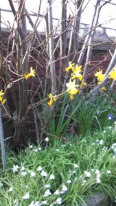 IMG_20160314_084917_227