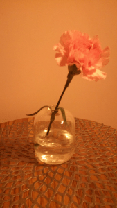 carnation