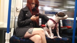 img_20160909_102514_733